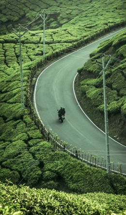 Kannan Devan Hills, Kerala, India, plantation Wallpaper 600x1024
