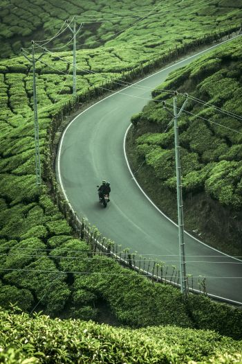 Kannan Devan Hills, Kerala, India, plantation Wallpaper 640x960
