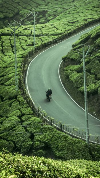 Обои 640x1136 Каннан Деван Хиллз, Керала, Индия, плантация