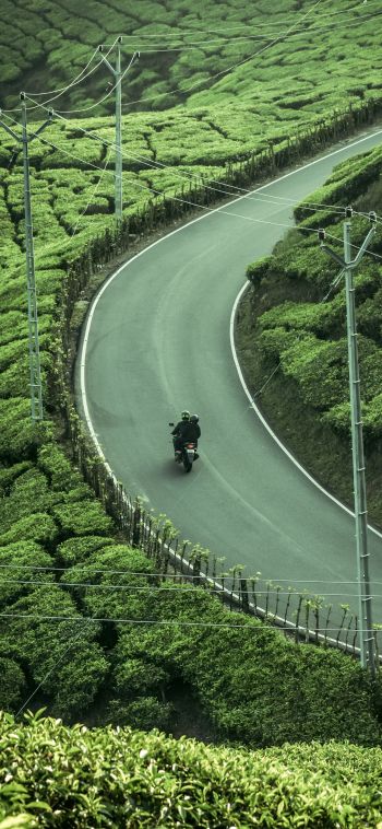 Kannan Devan Hills, Kerala, India, plantation Wallpaper 1080x2340