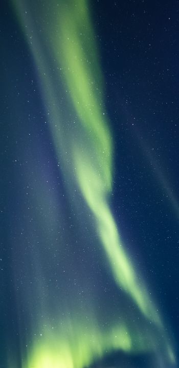 Acureri, Iceland, northern lights Wallpaper 1440x2960