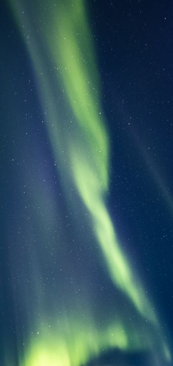 Acureri, Iceland, northern lights Wallpaper 1440x3040