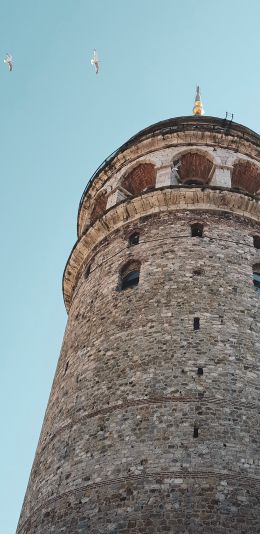 Galata, Beyoglu / Istanbul, Turkey, construction Wallpaper 1080x2220