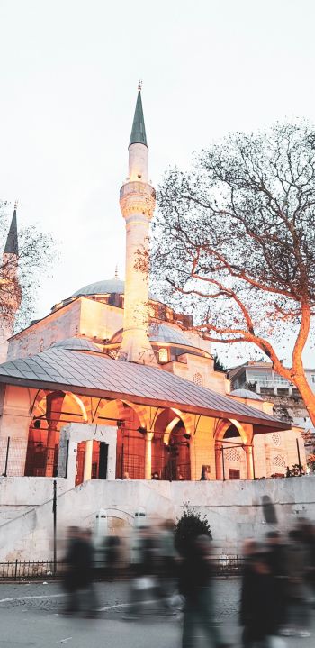 Beşiktaş / İstanbul, Turkey, city Wallpaper 1080x2220