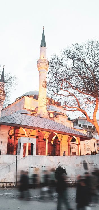 Beşiktaş / İstanbul, Turkey, city Wallpaper 1080x2280