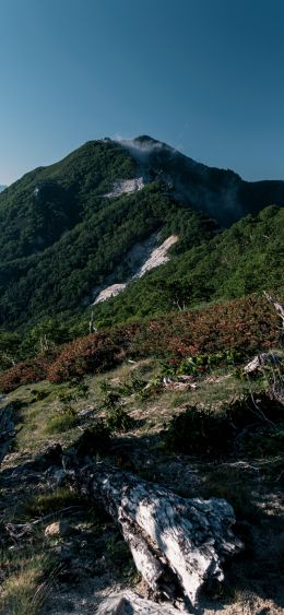 mountain, landscape Wallpaper 1080x2340