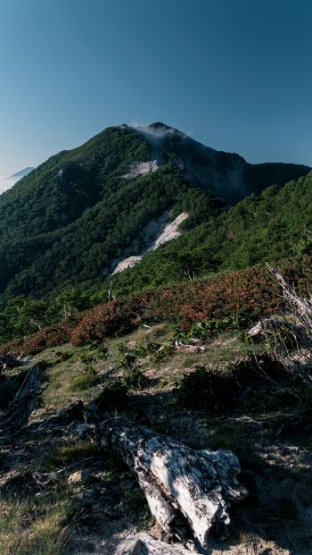 mountain, landscape Wallpaper 640x1136