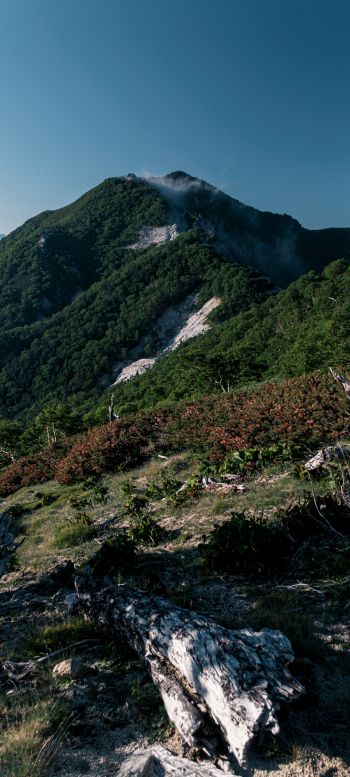 mountain, landscape Wallpaper 1080x2400