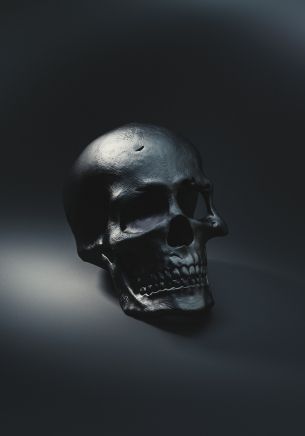 skull, black wallpaper Wallpaper 1668x2388