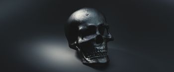 skull, black wallpaper Wallpaper 3440x1440