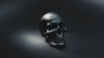 skull, black wallpaper Wallpaper 1366x768