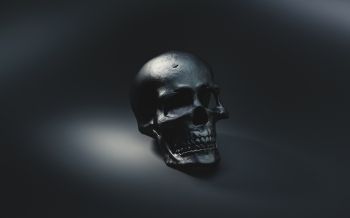 skull, black wallpaper Wallpaper 1920x1200
