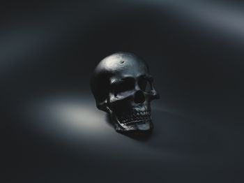 skull, black wallpaper Wallpaper 1024x768