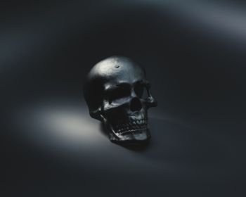 skull, black wallpaper Wallpaper 1280x1024
