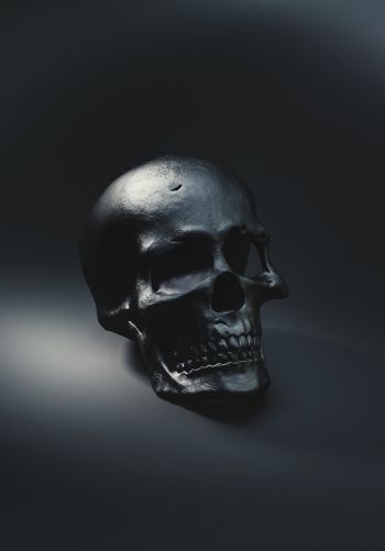 skull, black wallpaper Wallpaper 1668x2388