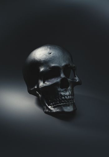 skull, black wallpaper Wallpaper 1640x2360
