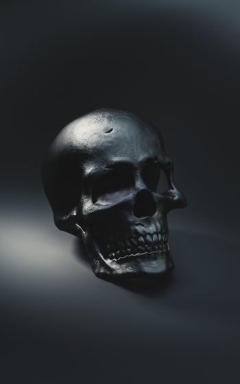 skull, black wallpaper Wallpaper 1752x2800