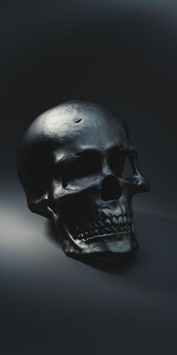 skull, black wallpaper Wallpaper 720x1440