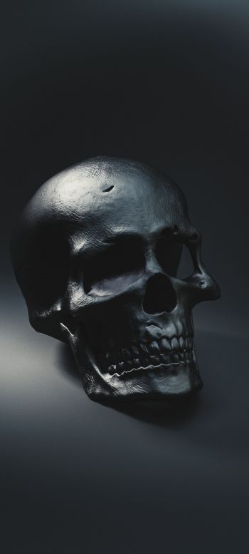 skull, black wallpaper Wallpaper 720x1600