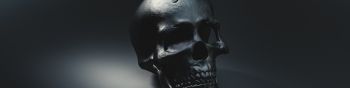 skull, black wallpaper Wallpaper 1590x400