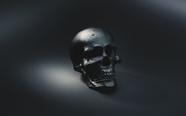 skull, black wallpaper Wallpaper 1920x1200