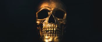 golden skull, black wallpaper Wallpaper 3440x1440
