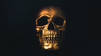 golden skull, black wallpaper Wallpaper 2048x1152