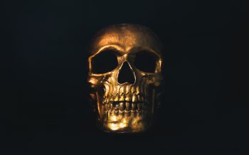 golden skull, black wallpaper Wallpaper 2560x1600