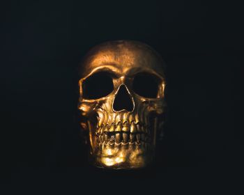 golden skull, black wallpaper Wallpaper 1280x1024