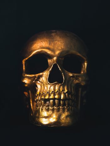 Обои 1668x2224 золотой череп, черные обои
