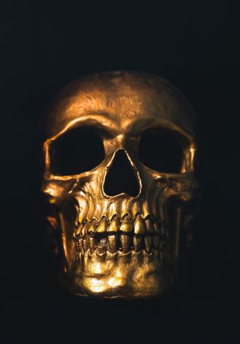 Обои 1668x2388 золотой череп, черные обои
