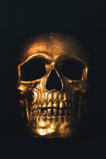 golden skull, black wallpaper Wallpaper 640x960