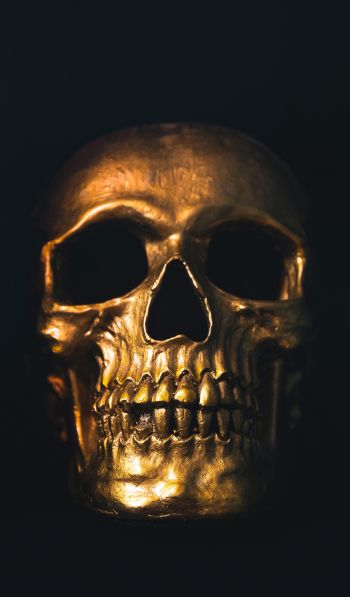 golden skull, black wallpaper Wallpaper 600x1024