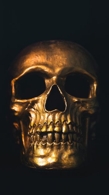 Обои 2160x3840 золотой череп, черные обои