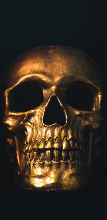 golden skull, black wallpaper Wallpaper 1440x2960