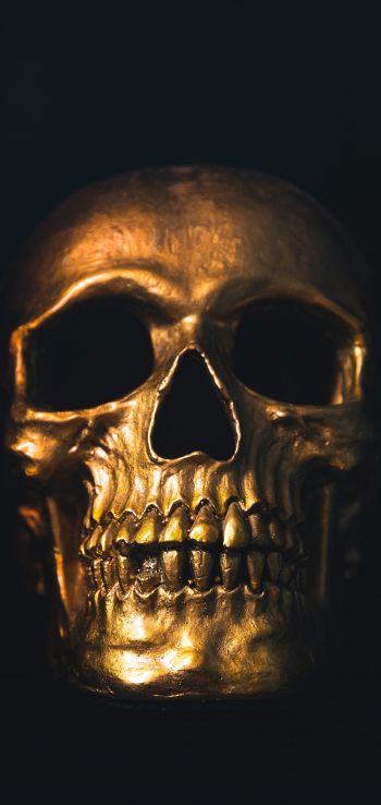 golden skull, black wallpaper Wallpaper 1440x3040