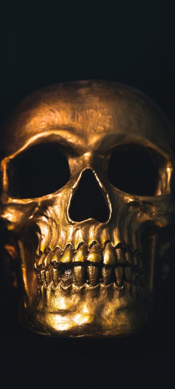 golden skull, black wallpaper Wallpaper 1440x3200
