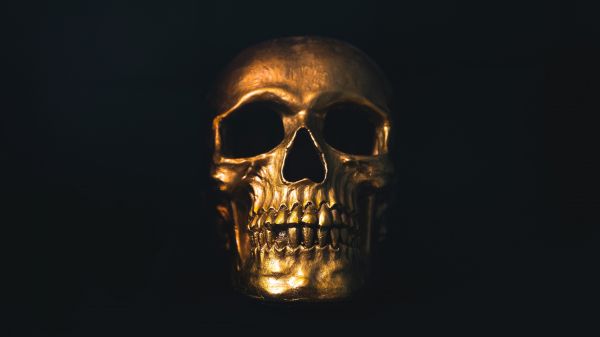golden skull, black wallpaper Wallpaper 1366x768