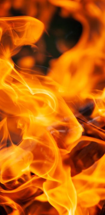 fire, flame Wallpaper 1080x2220