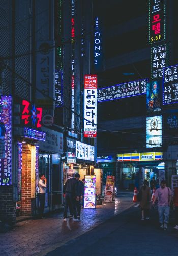 Seoul, South Korea, neon, night city, urban landscape Wallpaper 1640x2360
