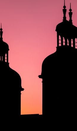 Lion, France, dome, spades, pink sky Wallpaper 600x1024