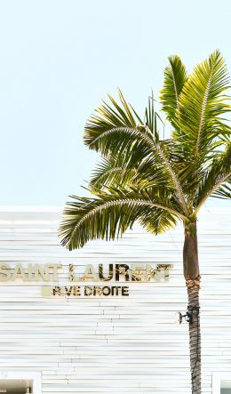 areca, palm trees, white Wallpaper 600x1024