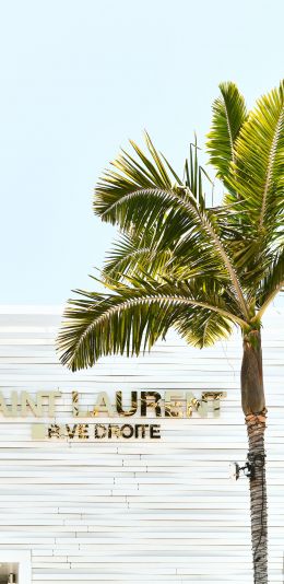 areca, palm trees, white Wallpaper 1080x2220