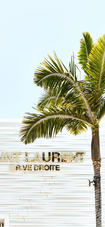 areca, palm trees, white Wallpaper 1080x2340