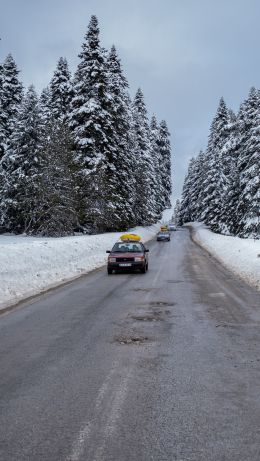 Be, Be, Turkey, winter, road Wallpaper 640x1136