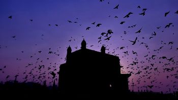 Gateway of India, city apollo, Kolaba, Mumbai, Maharashtra, India Wallpaper 2560x1440