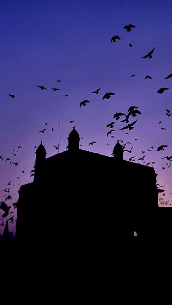 Gateway of India, city apollo, Kolaba, Mumbai, Maharashtra, India Wallpaper 640x1136
