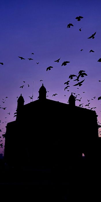 Gateway of India, city apollo, Kolaba, Mumbai, Maharashtra, India Wallpaper 720x1440