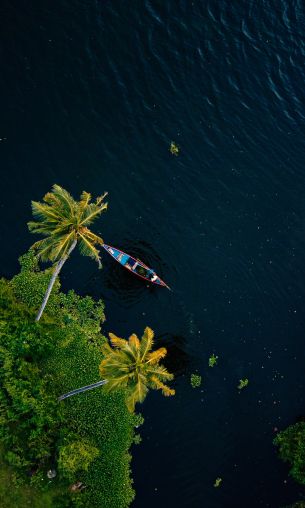 Alappuža, Kerala, India, palm trees, water, transport Wallpaper 1200x2000