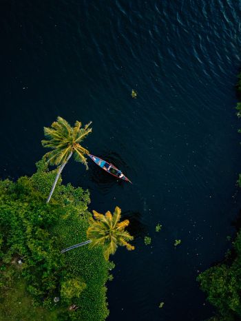 Alappuža, Kerala, India, palm trees, water, transport Wallpaper 2048x2732